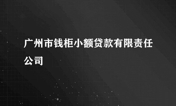 广州市钱柜小额贷款有限责任公司