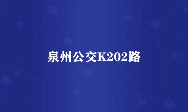 泉州公交K202路