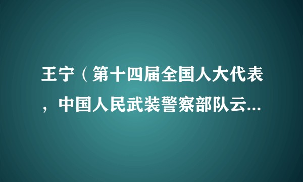 王宁（第十四届全国人大代表，中国人民武装警察部队云南省总队司令员）