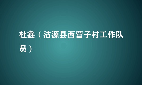 杜鑫（沽源县西营子村工作队员）