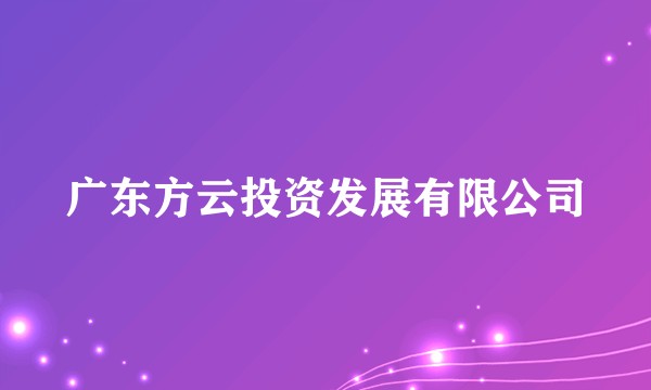 广东方云投资发展有限公司
