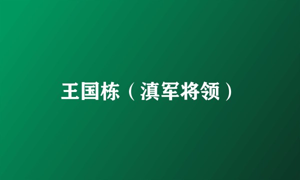 王国栋(滇军将领)