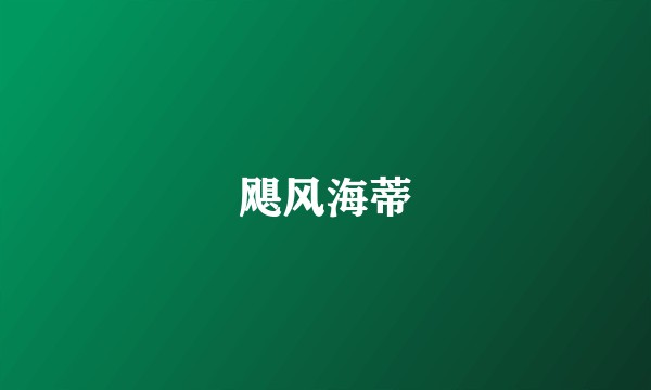 飓风海蒂