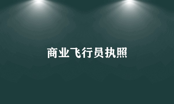 商业飞行员执照