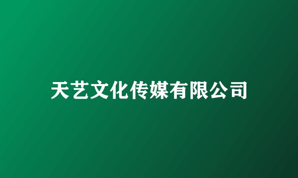 天艺文化传媒有限公司