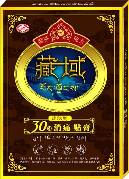 藏域消痛贴膏