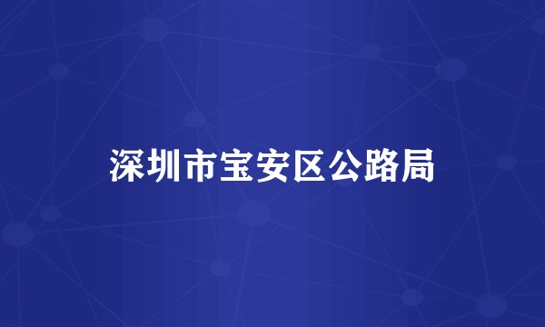 深圳市宝安区公路局
