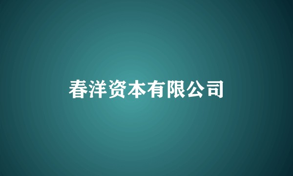 春洋资本有限公司