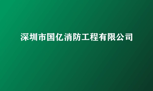 深圳市国亿消防工程有限公司