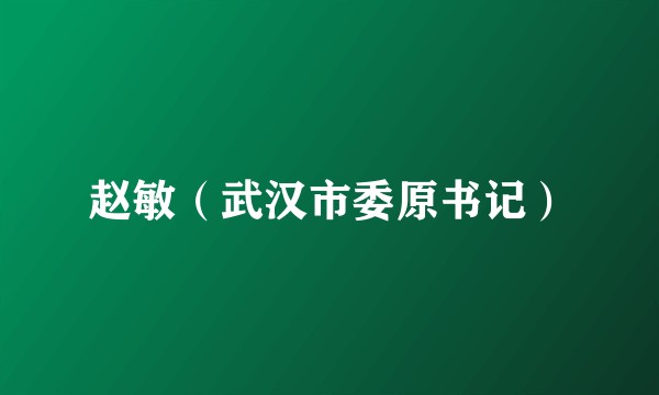 赵敏（武汉市委原书记）