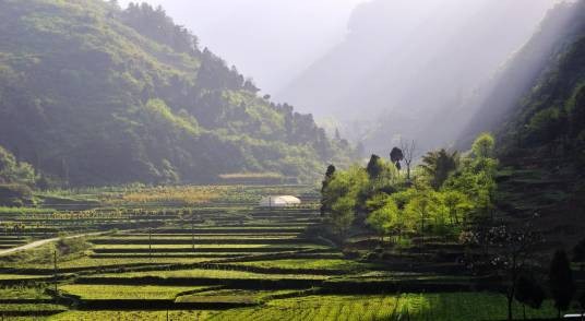 大娄山（云贵高原山脉）