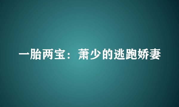 一胎两宝：萧少的逃跑娇妻