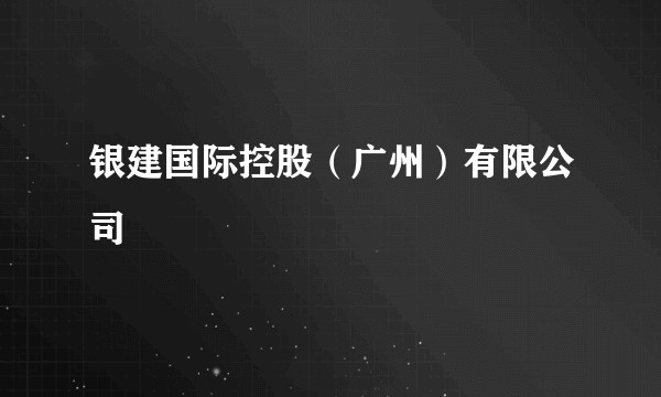 银建国际控股（广州）有限公司
