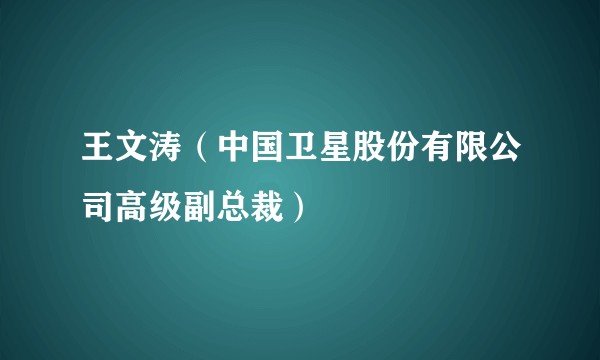 王文涛（中国卫星股份有限公司高级副总裁）