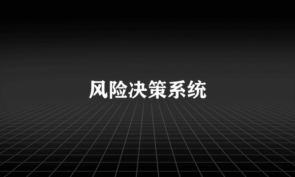 风险决策系统