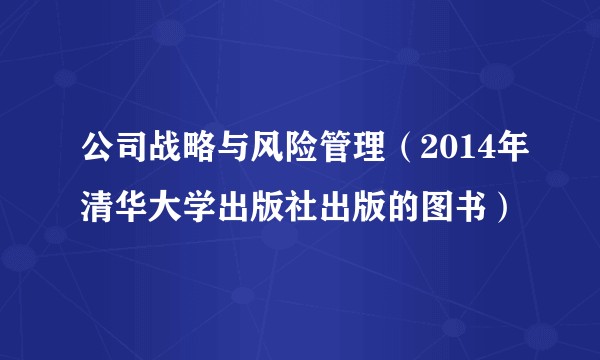 公司战略与风险管理（2014年清华大学出版社出版的图书）