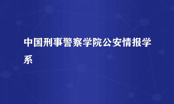 中国刑事警察学院公安情报学系