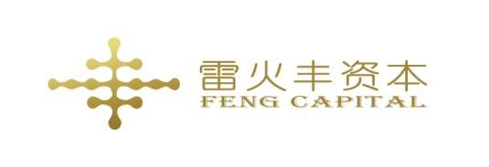 深圳市雷火丰资产管理有限公司