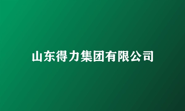 山东得力集团有限公司