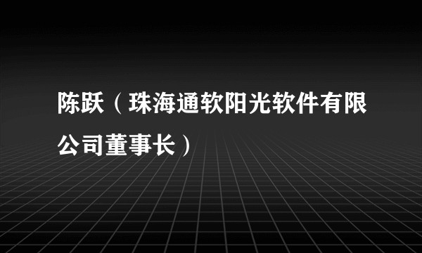 陈跃（珠海通软阳光软件有限公司董事长）