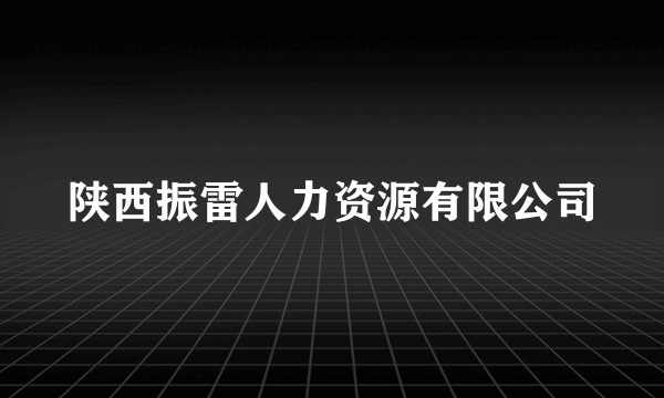 陕西振雷人力资源有限公司