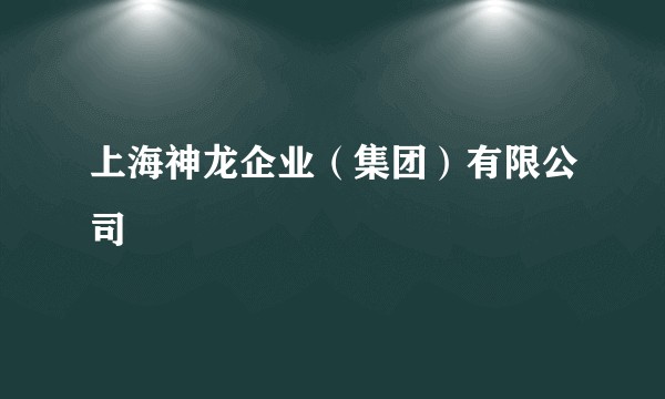 上海神龙企业（集团）有限公司