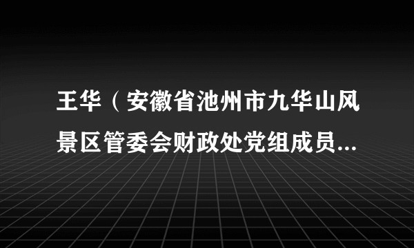 王华(安徽省池州市九华山风景区管委会财政处党组成员、副处长)
