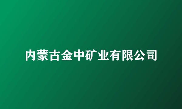 内蒙古金中矿业有限公司