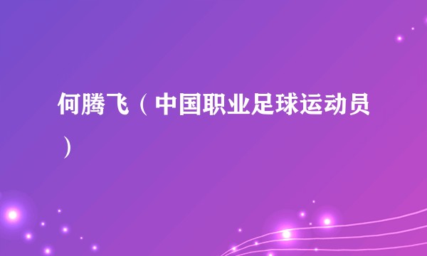 何腾飞(中国职业足球运动员)