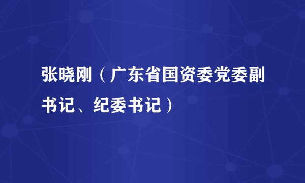 张晓刚(广东省国资委党委副书记、纪委书记)