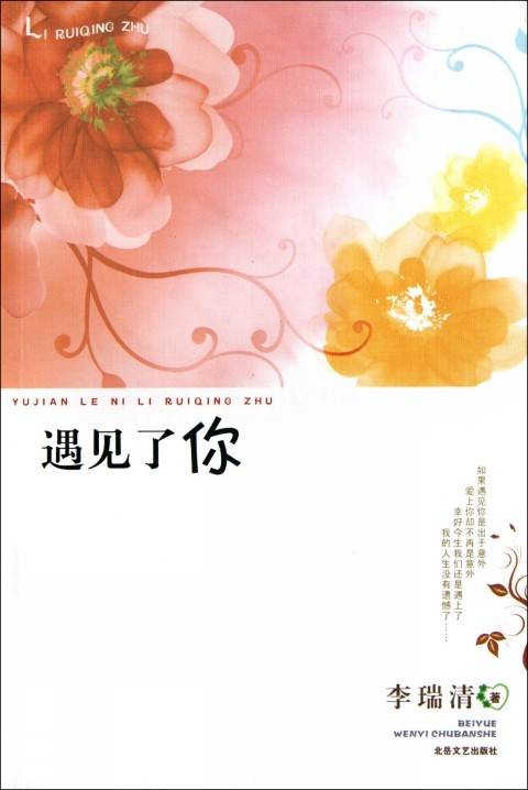 遇见了你(2011年北岳文艺出版社出版的图书)