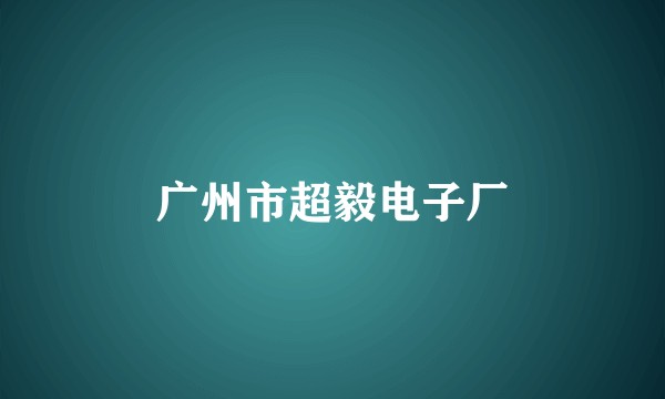 广州市超毅电子厂
