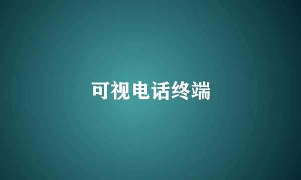 可视电话终端