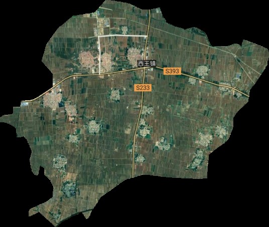 西王镇（河北省衡水市冀州区下辖镇）