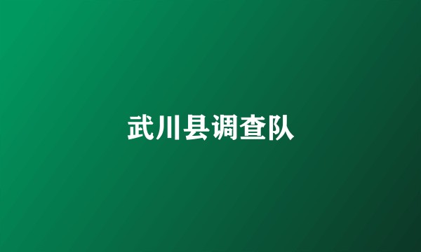 武川县调查队