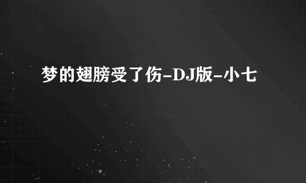 梦的翅膀受了伤-DJ版-小七