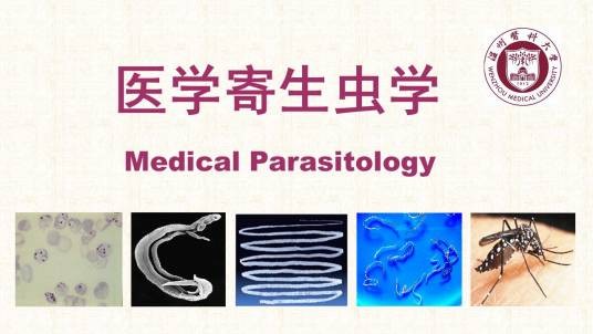医学寄生虫学(温州医科大学建设的慕课)