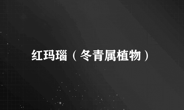 红玛瑙（冬青属植物）