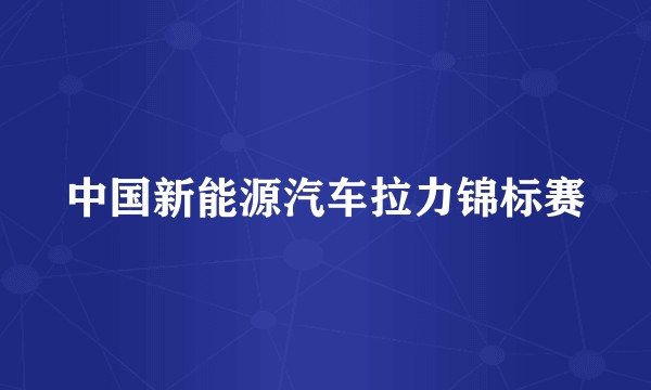 中国新能源汽车拉力锦标赛