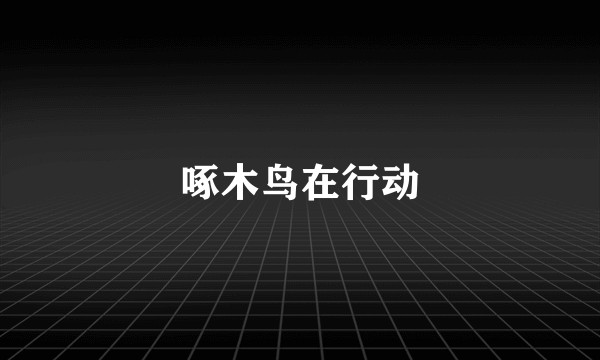 啄木鸟在行动