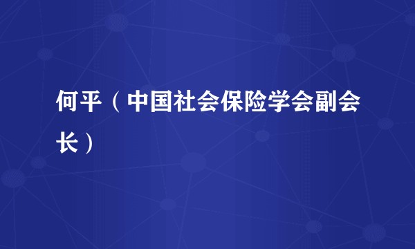 何平(中国社会保险学会副会长)