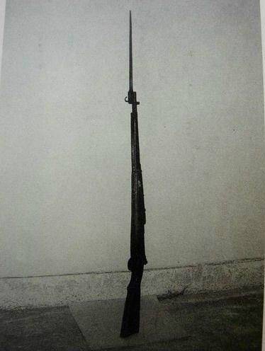 八一式马步枪（军事武器枪械）
