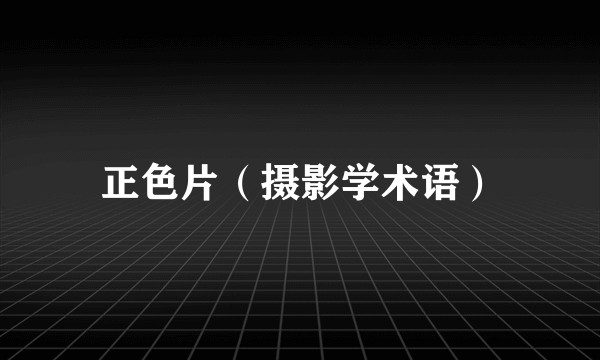 正色片（摄影学术语）