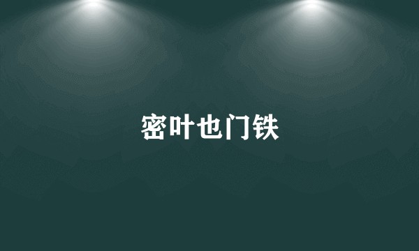 密叶也门铁