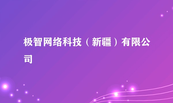 极智网络科技（新疆）有限公司
