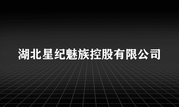 湖北星纪魅族控股有限公司