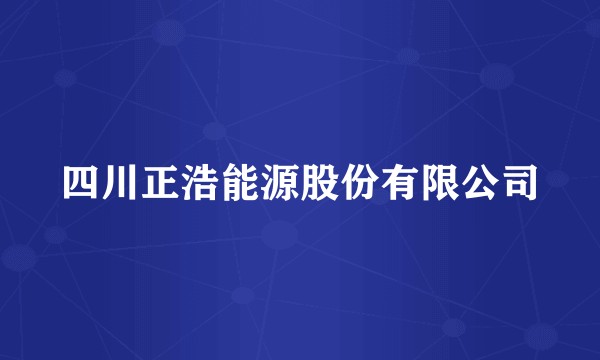 四川正浩能源股份有限公司