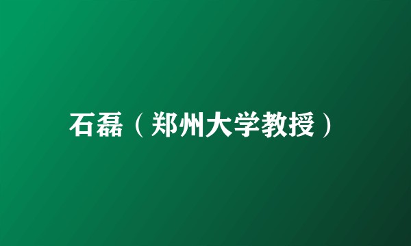石磊（郑州大学教授）