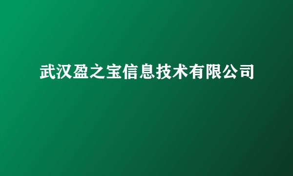 武汉盈之宝信息技术有限公司