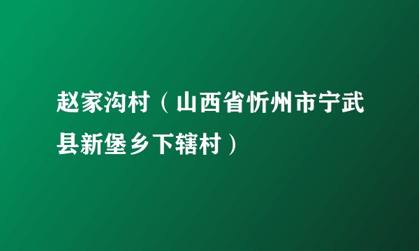 赵家沟村（山西省忻州市宁武县新堡乡下辖村）